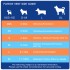 Cute Clothing for pets