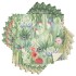 cactus dish cloths